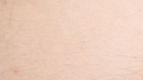 shutterstock_655548856