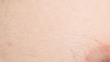 shutterstock_655548856