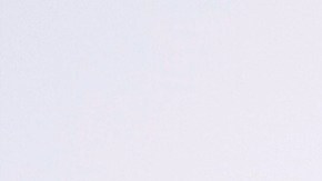 shutterstock_718093321 (1)