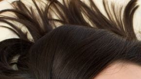 shutterstock_90109648