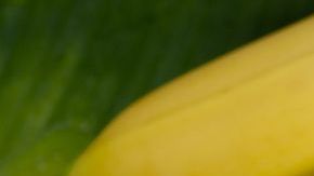 Como recomendaciones adicionales es indispensable evitar llevar una vida sedentaria y el consumo de alimentos que alteren el sistema nervioso con alto contenido en azúcares, grasas saturadas, procesados, tabaco y alcohol.