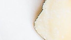 El consumo de cacahuate ayuda a tener una piel tersa y suave, debido a su contenido en vitamina E y actúa como antioxidante que protege las células de la piel de los radicales libres.