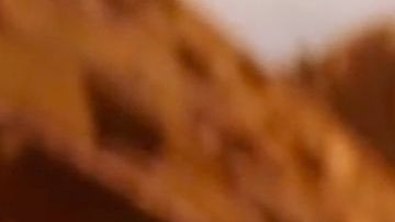 El curioso video ya lleva más de 4.7 millones de reproducciones en Twitter.