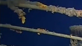 Imagen del barco en 2019