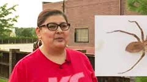Susie Torres vive en Kansas City