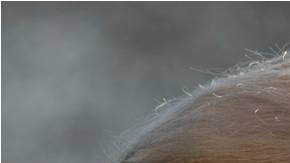 Continúa la batalla campal entre el presidente de Estados Unidos y el gobernador de California.