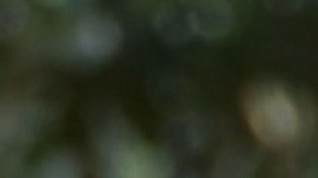 Los hijos de John Catsimatidis incluso donaron a la campaña del presidente Trump.