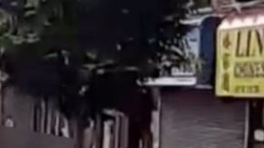 Imagen de las sospechosas
