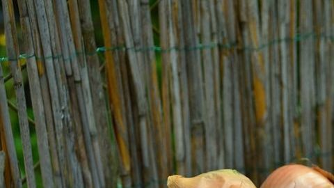 vegetables-752153_1280
