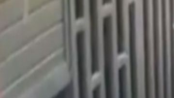 VIDEO: Con tiro de gracia matan a uno en mercado donde opera brazo armado del CJNG