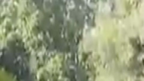 VIDEO Decenas de sicarios del CJNG así buscan a Los Viagras