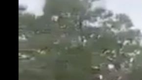 VIDEO La Familia Michoacana y El Zarco mandan temible mensaje a el CJNG y El Mencho