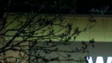 El investigado, Philip Attey, aseguró ser un activista antiarmas.