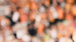 El delantero mexicano es cada vez más decisivo con el Wolverhampton y ya logró su primer gol de la temporada