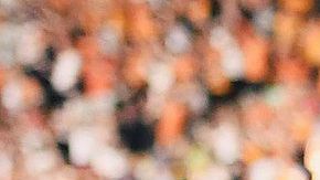 El delantero mexicano es cada vez más decisivo con el Wolverhampton y ya logró su primer gol de la temporada