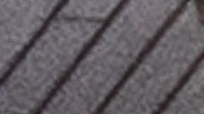 Leonardo DiCaprio y Camila Morrone.