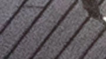 Leonardo DiCaprio y Camila Morrone.