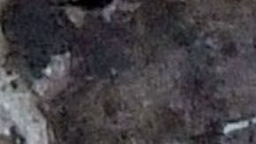 Photo © 2019 Backgrid UK/The Grosby Group.