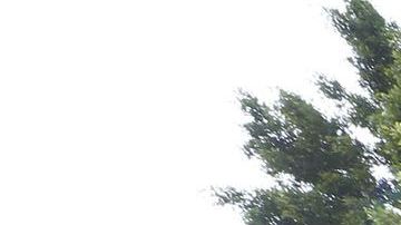 Una desamparada remueve sus cosas de la calle que van a limpiar en Los Ángeles.