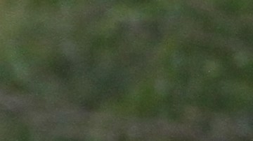 Escuela en Alto Manhattan.