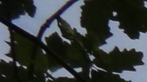 A 18 años de los ataques terroristas a las Torres Gemelas.