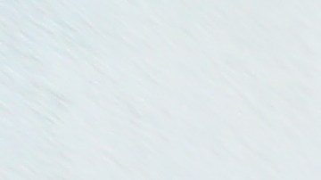 Daniel Dominguez (gorra) y Alberto Cruz denunciaron haber sido atacados en  el restaurant Pollos Mario, en la Avenida Roosevelt en Queens.