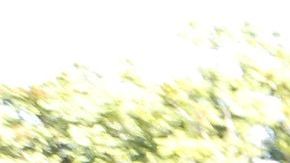 Los trabajadores móviles celebraron la aprobación de la ley./ Aurelia Ventura