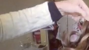 Así se consigue una melena de comercial.