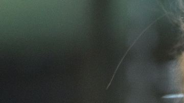 Greta Thunberg inició el movimiento en defensa del medio ambiente.