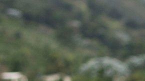 Los peligros del cambio climático.