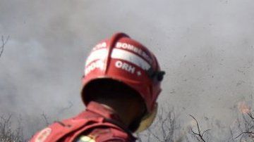 Los fuegos ya arrasaron cerca de dos millones de hectáreas.