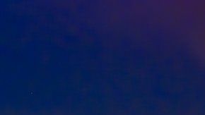 Las extinciones masivas se relacionan con trastornos ambientales devastadores.