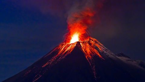 Las extinciones masivas se relacionan con trastornos ambientales devastadores.