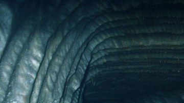 El crudo se almacena en cavernas en la costa del Golfo de México.
