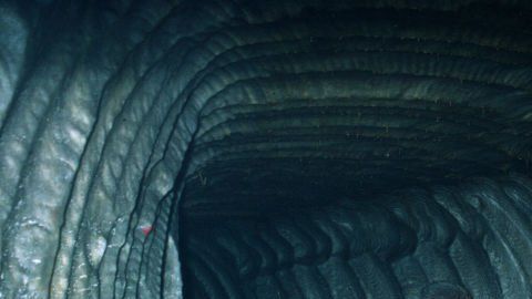El crudo se almacena en cavernas en la costa del Golfo de México.