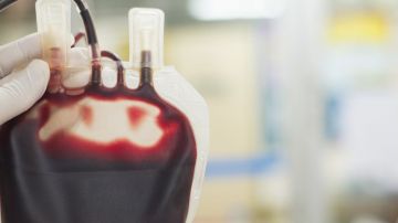 ¿Cuántos grupos sanguíneos dirías que existen?