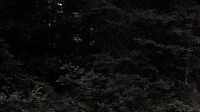 Bugatti Chiron dice que lo ha logrado superar las 300 millas por hora), y ahora se retira de la carrera para crear los autos de producción más rápidos