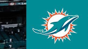 Miami Dolphins fue uno de los muchos equipos deportivos estadounidenses que manifestaron su solidaridad en esta fecha.