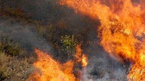 Imágenes del incendio iniciado en Eagle Rock el pasado 25 de agosto que amenazó casas en Glendale.