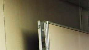 CBP trabaja con Bahamas Paradise Cruise Line para procesar las llegadas de pasajeros de Bahamas.