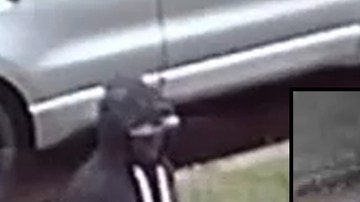 Imagen del sospechoso y el auto donde escapó