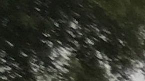 La Guardia costera ayuda a rescatar personas en Beaumont, Texas.