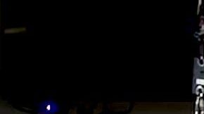 Robot en forma de perro.