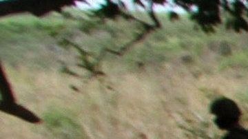 Un decomiso de armas durante un operativo en Veracruz.