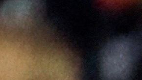 Osos y Pieles Rojas se ven las caras