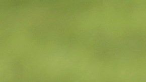 Cristiano Ronaldo protagonizó un momento muy extraño en el entrenamiento de Portugal.