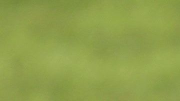 Cristiano Ronaldo protagonizó un momento muy extraño en el entrenamiento de Portugal.