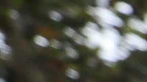 La fiscalía española indicó que tiene evidencia de que cerca de un millón de dólares fueron transferidos