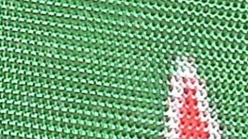 Con esta victoria superó a su compañero, el alemán Sebastian Vettel, en la clasificación