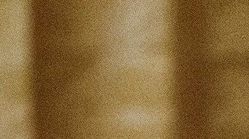 Trump condecoró a  Marisela Luna.